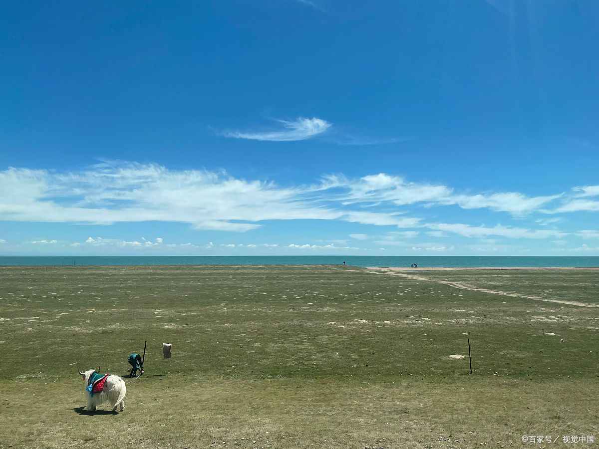 青海旅游包车拼车俱乐部电话多少