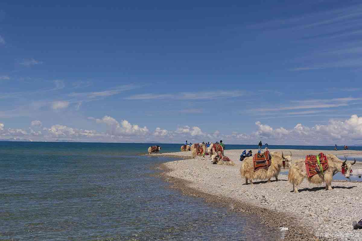 青海旅游包车服务怎么样